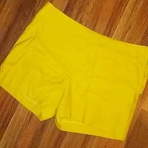 Side zip gold toned shorts